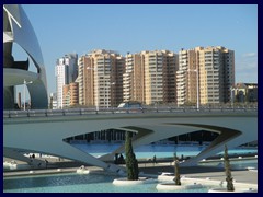 City of Arts and Sciences 098 - Pont de Montolivet bridge, opera and highrises.